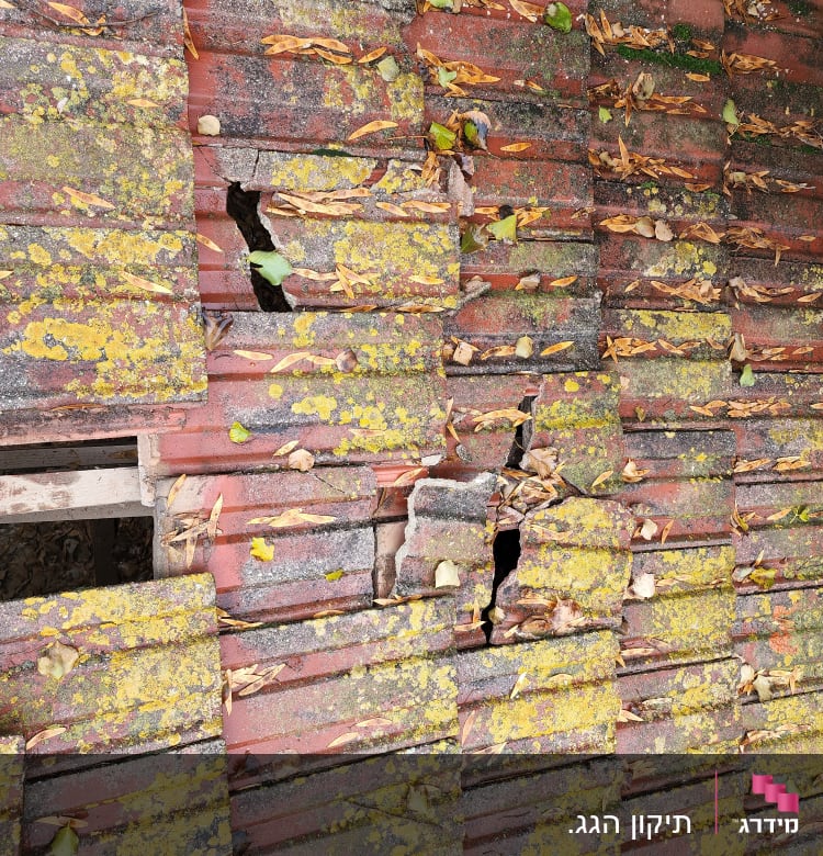 רעפים שבורים עם עלים וטחב על הגג